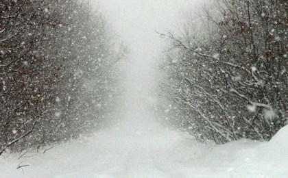 Вниманию граждан! Сильный снегопад! Кобринский районный отдел по чрезвычайным ситуациям предупреждает