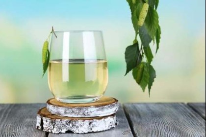 Готовимся к сбору березового сока