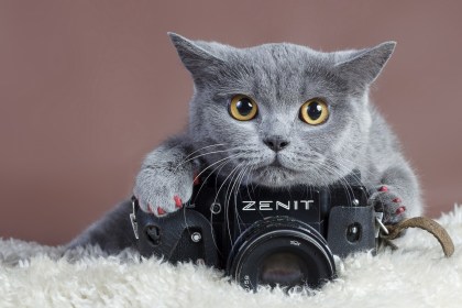 Внимание – фотоконкурс!