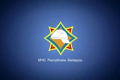 Результаты мониторинга Кобринского РОЧС