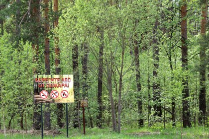 Запрет на посещение лесов действует в 52 районах Беларуси, в том числе и в Кобринском