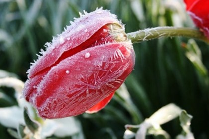 Штормовое предупреждение на пятницу: ожидаются ночные заморозки до -3 °С