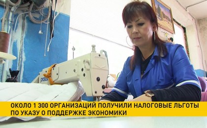 Около 1 300 организаций получили налоговые льготы по указу о поддержке экономики
