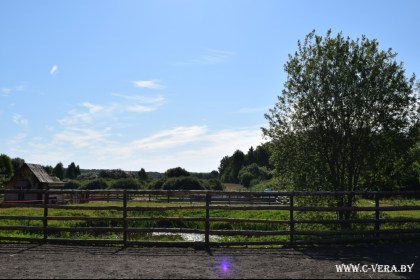 «Мы едем к лошадке! Ее зовут Мара». Дневники иппотерапии: как это происходит