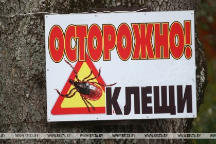 В Брестской области уменьшилось число пострадавших от укусов клещей