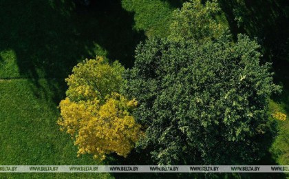 В выходные будет прохладно, на следующей неделе возможны ночные заморозки