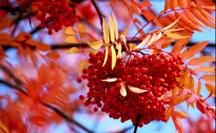 Народный календарь погоды, примет и праздников на октябрь