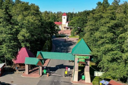 Красота! Беловежская пуща с высоты птичьего полета от #ВАСЬКАПИЛОТ