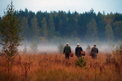 Растёт число людей, потерявшихся в лесах