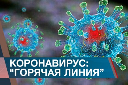Минздрав актуализировал информацию о работе горячих линий по вопросам профилактики COVID-19