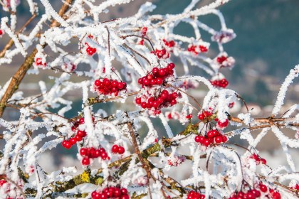 Снег и гололедица ожидаются в Беларуси 28 ноября