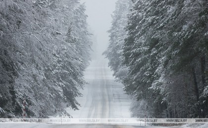 В Беларуси похолодает к концу недели