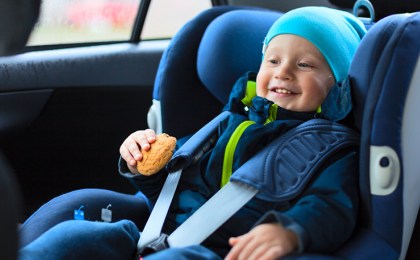 21 января на территории Кобринского района пройдет Единый день знаний правил дорожного движения: «В зоне внимания дети-пассажиры!»