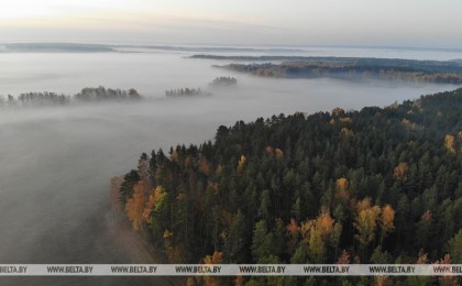 Площадь особо охраняемых территорий в Брестской области в 2020 году увеличилась на 1,2
