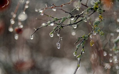 Оранжевый уровень опасности объявлен в Беларуси 12 марта из-за сильного ветра