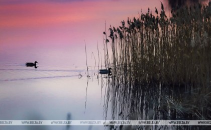 Акция «Чистый водоем» проходит в Беларуси