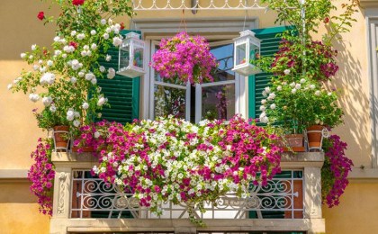 В Кобринском районе объявлен конкурс на лучшее озеленение балкона, а также выберут дом и подъезд образцового порядка
