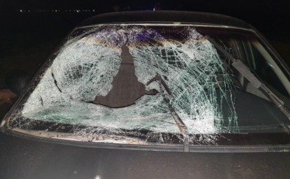 Пьяный пешеход - потенциальная опасность