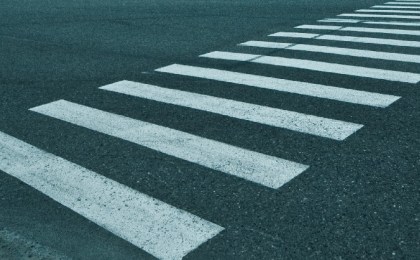 В Брестской области пройдёт Единый день безопасности дорожного движения, посвященный профилактике ДТП на пешеходных переходах