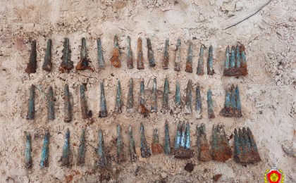 Судебные эксперты исследовали костные останки, найденные в деревне Легаты Кобринского района