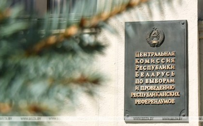 Карпенко о подготовке к референдуму: никаких проблемных вопросов нет