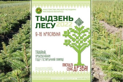 Акция «Неделя леса» пройдет в Кобринском опытном лесхозе с 9 по 16 апреля