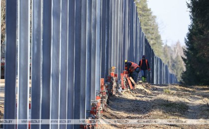 Брестчане отправили в ЮНЕСКО и Совет Европы петицию против строительства забора в Беловежской пуще