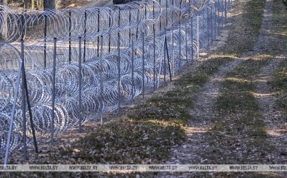 ГПК: вблизи латвийского заграждения погиб ещё один лось