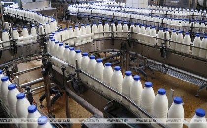 Заяц: благодаря взвешенной политике в Беларуси удалось обеспечить продовольственный достаток