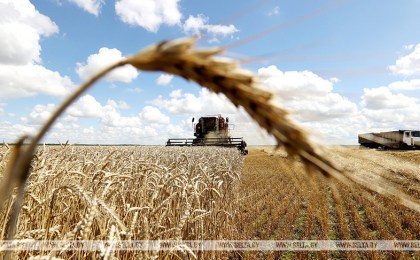 На уборке урожая определились 5 молодежных экипажей-тысячников