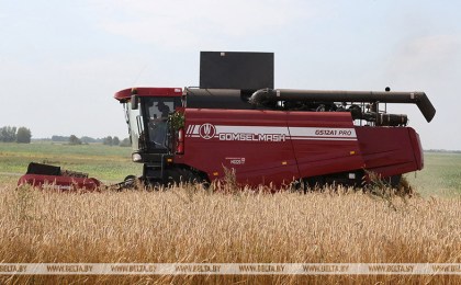 Белорусские аграрии намолотили более 3,5 млн тонн зерна