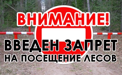 Внимание! Запрет на посещение лесов на территории Кобринского района