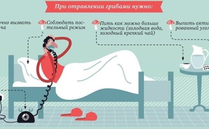 «Тихая охота» с лукошком: рекомендации врачей