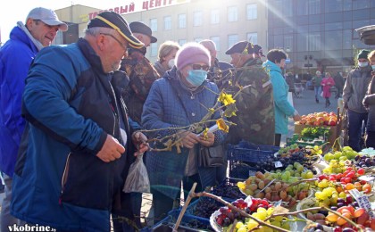 Внимание! Сельскохозяйственная ярмарка в Кобрине переносится на 6 ноября