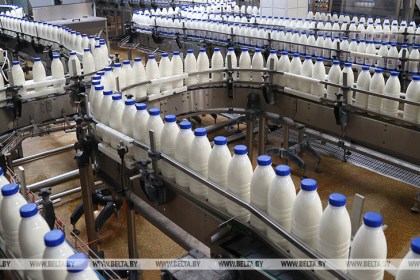 Экспорт продовольствия и сельхозпродукции в Брестской области вырос почти на треть