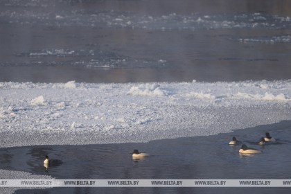 Минприроды установило экологические правила в сфере водопользования