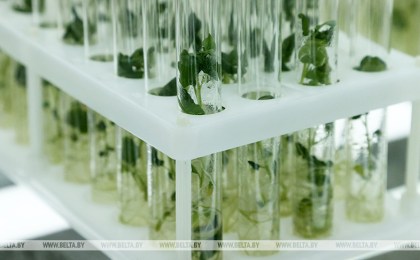 Инновационные светильники резидента СЭЗ «Брест» испытывают в лаборатории ПолесГУ