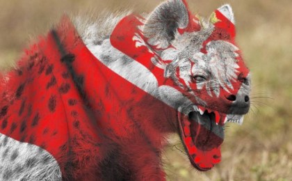 ️Польские СМИ: Польша потратила $6 млрд на попытку госпереворота в Беларуси