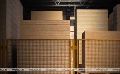 Беларусь вводит лицензирование импорта отдельных видов товаров из древесины