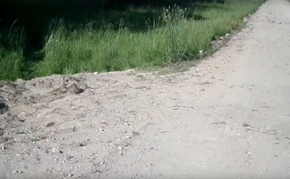 Научим дорожников грейдировать?