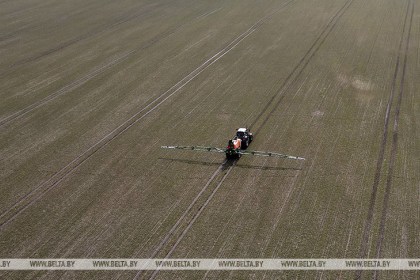 Минсельхозпрод: периодичность экстремальных погодных условий в Беларуси составляет раз в пять лет