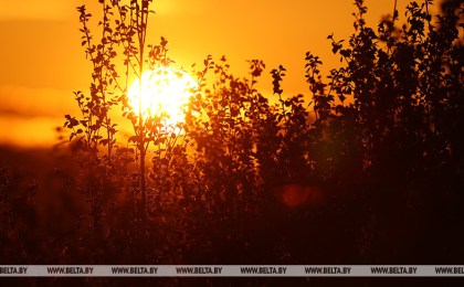 Энергетики Беларуси перешли в режим повышенной готовности в условиях жаркой погоды