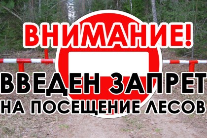 Внимание! Вновь введен запрет на посещение лесов в Кобринском районе