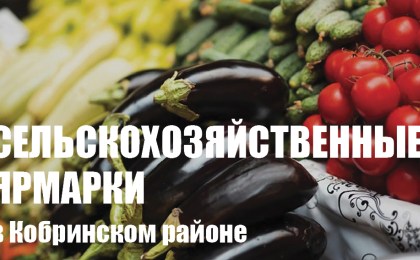 В Кобринском районе будут проведены сельскохозяйственные ярмарки