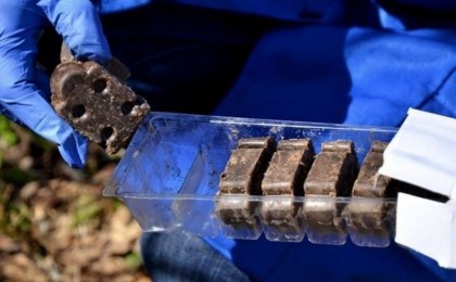Для профилактики бешенства диких животных в Брестской области разбрасываются приманки с использованием авиации