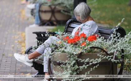 В Беларуси более половины пожилых людей имеют доступ в интернет