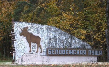 В Беловежской пуще рассказали о подготовке к зимнему туристическому сезону