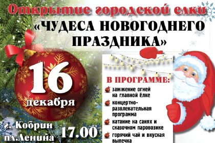 16 декабря в Кобрине состоится открытие главной новогодней елки. Что в программе?