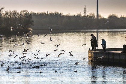 Бюджет Брестской области в 2024 году сохранит социальную направленность