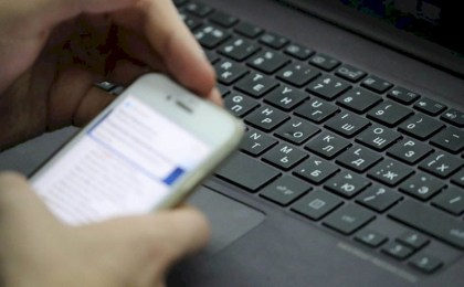 НЦЭУ: получить удостоверение о качестве семян лесных растений можно онлайн